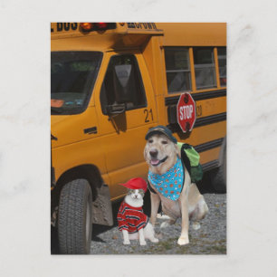 Cartão Postal De volta à escola