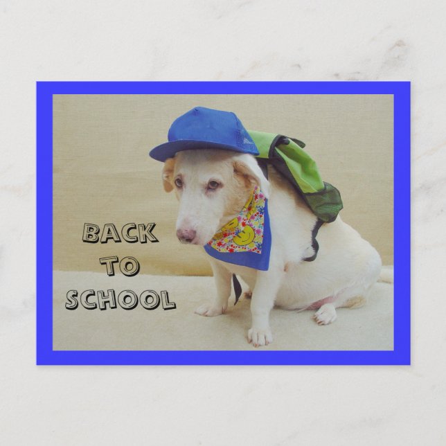 Cartão Postal De volta à escola (Frente)