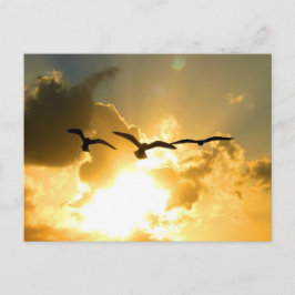 CARTÃO POSTAL DE VOO SUNSET
