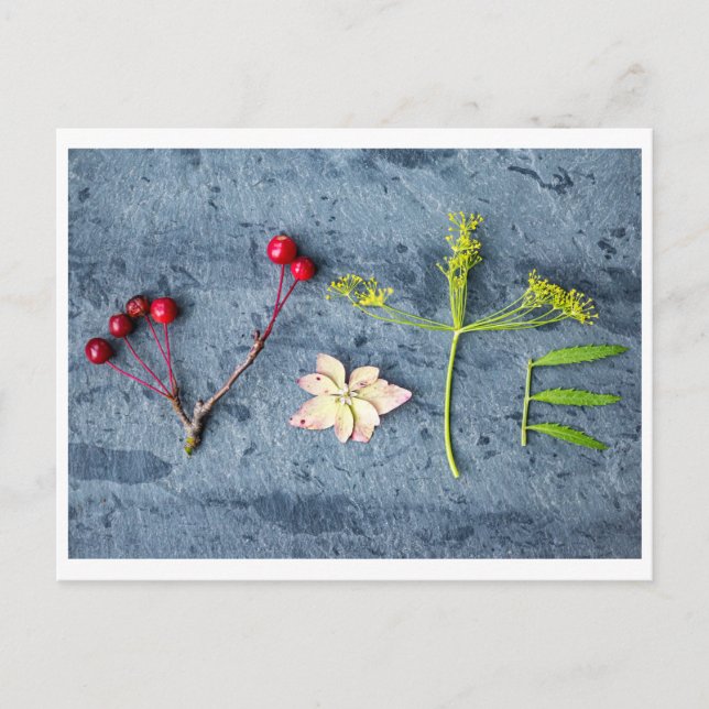 Cartão Postal de Voto  (Frente)