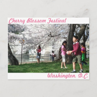 Cartão postal de Washington D.C. Cherry Blossom