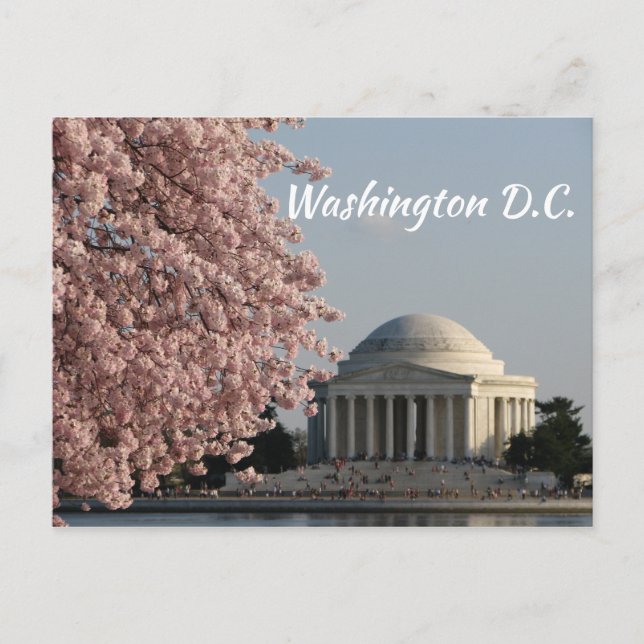 Cartão Postal de Washington DC na Primavera (Frente)