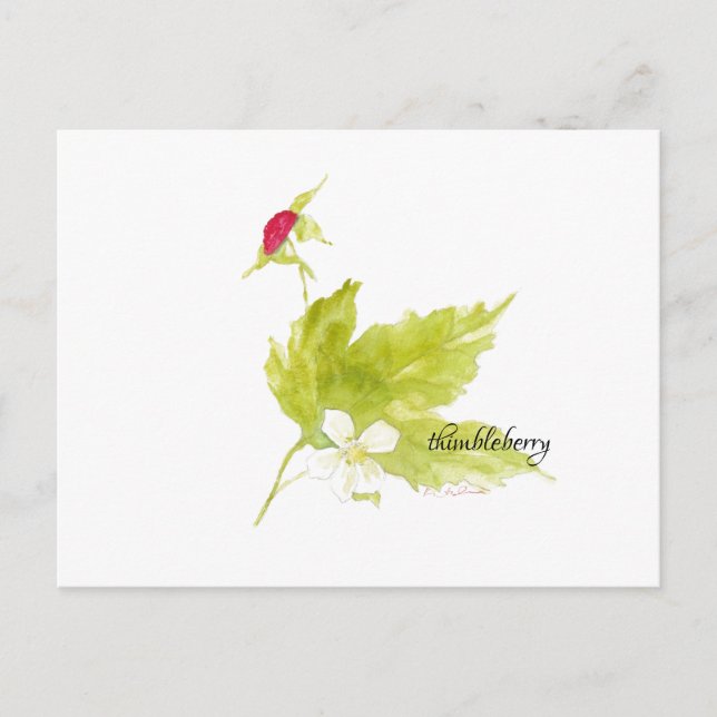 cartão postal de watercolor thimbleberry (Frente)