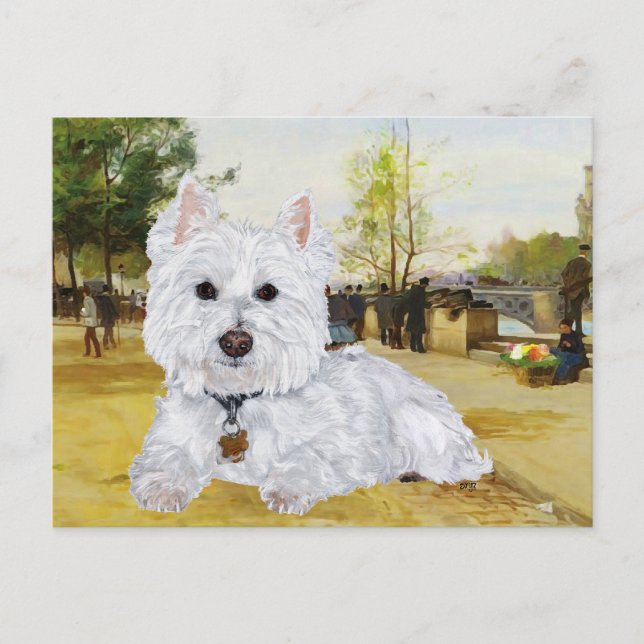 Cartão postal de Westie (Frente)