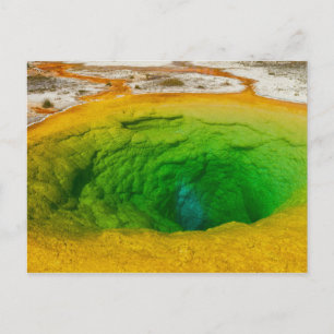 Cartão postal de Yellowstone - Morning Glory Pool
