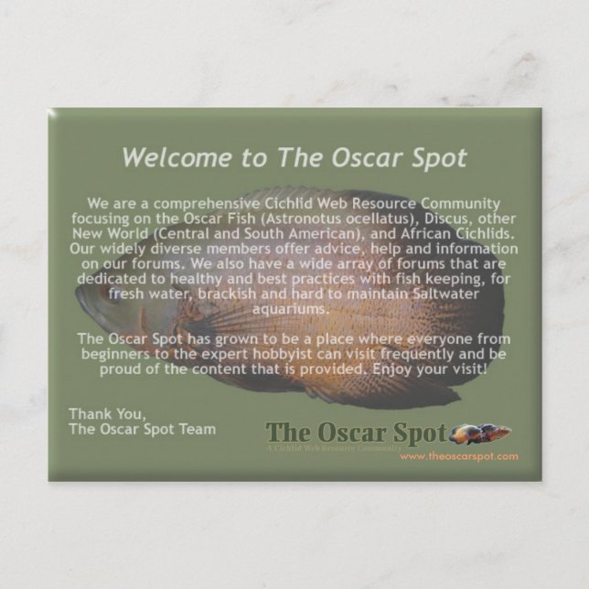 Cartão Postal Declaração de Missão (Frente)