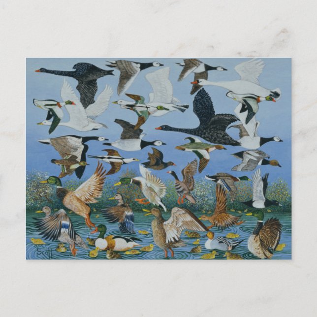 Cartão Postal Decolagem 1996 (Frente)