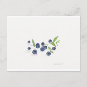 Cartão Postal Decoração da cozinha da fruta Blueberry