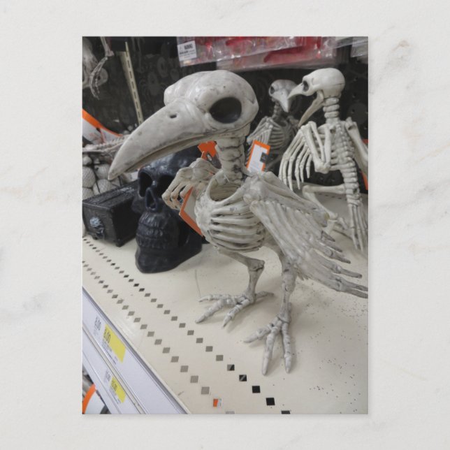 Cartão Postal Decoração do esqueleto das aves (Frente)