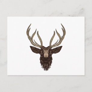 Cartão Postal Deer