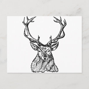 Cartão Postal Deer