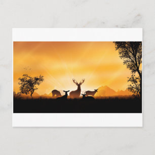 Cartão Postal Deer