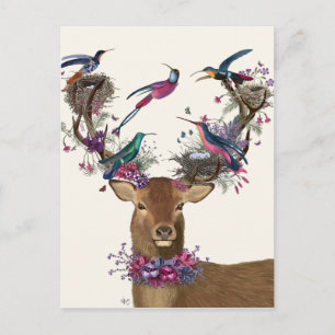 Cartão Postal Deer Birdkeeper, Ninhos De Aves Tropicais