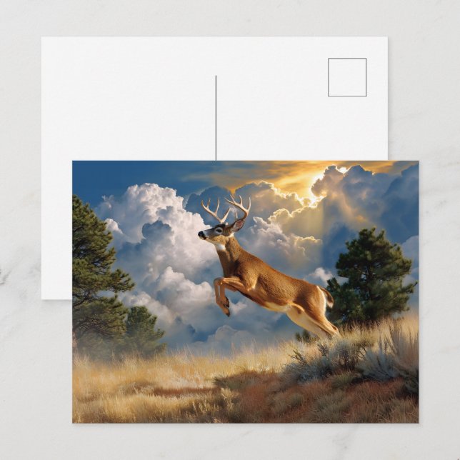 Cartão Postal Deer Buck Branco (Frente/Verso)
