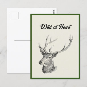 Cartão Postal Deer Buck Head com Antlers Black and White Art