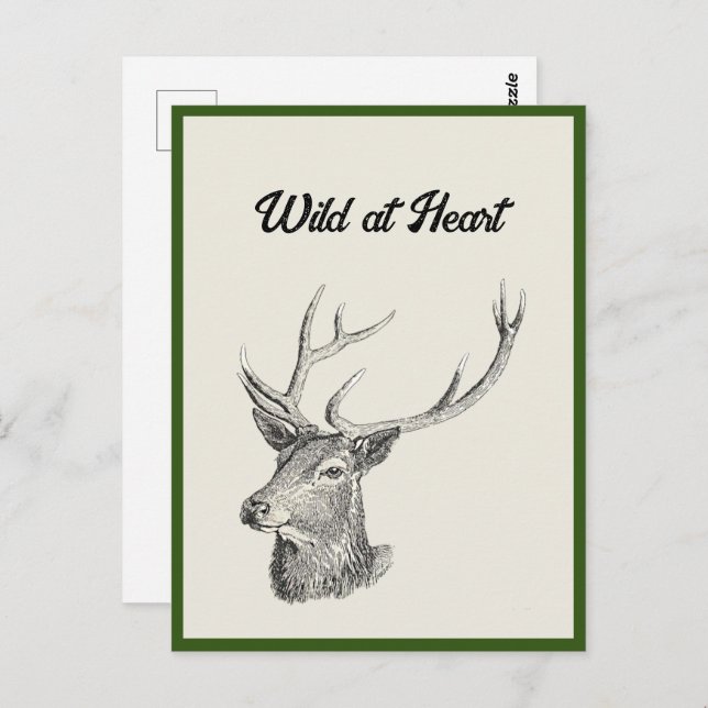 Cartão Postal Deer Buck Head com Antlers Black and White Art (Frente/Verso)