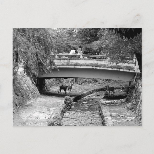 Cartão Postal Deer debaixo de uma ponte japonesa (Frente)