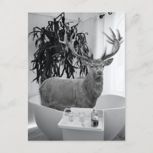 Cartão Postal Deer em Bathtub Black White Bathroom art