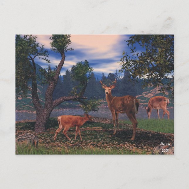 Cartão Postal Deer Gathering (Frente)
