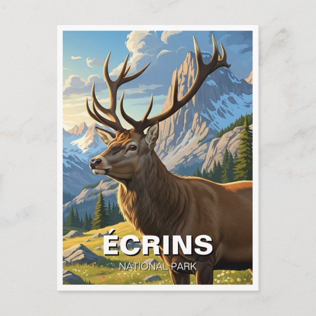 Cartão Postal Deer in Écrins National Park France Viagem (Frente)