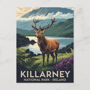 Cartão Postal Deer in Killarney National Park Ireland Viagem