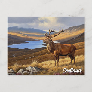 Cartão Postal Deer in Scotland Viagem