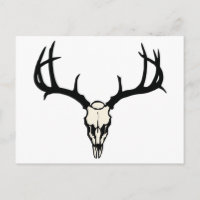 Deer Skull