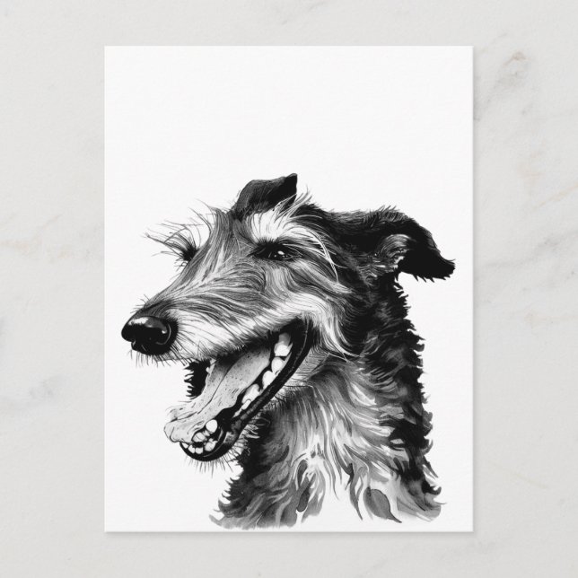 Cartão Postal Deerhound preto e branco | Cachorro (Frente)