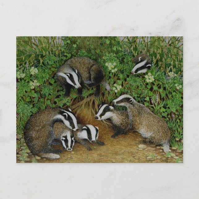 Cartão Postal Definição (Frente)