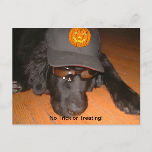 Cartão Postal Deixado para Trás neste Halloween (Frente)