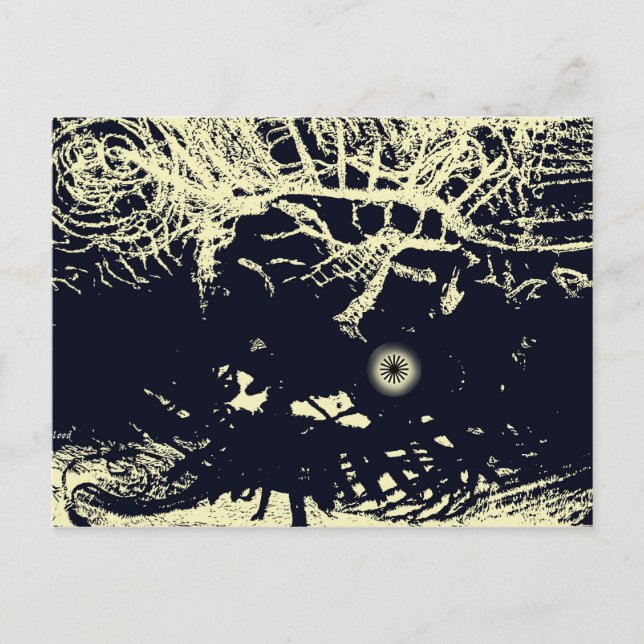 Cartão Postal Deixando o sol (Frente)