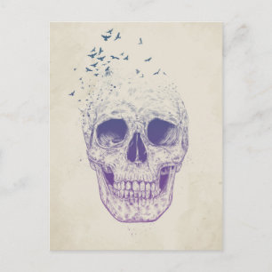 Cartão Postal Deixe-os voar