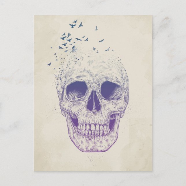 Cartão Postal Deixe-os voar (Frente)