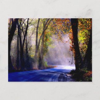 Cartão Postal Deixe Sua Luz Brilhar