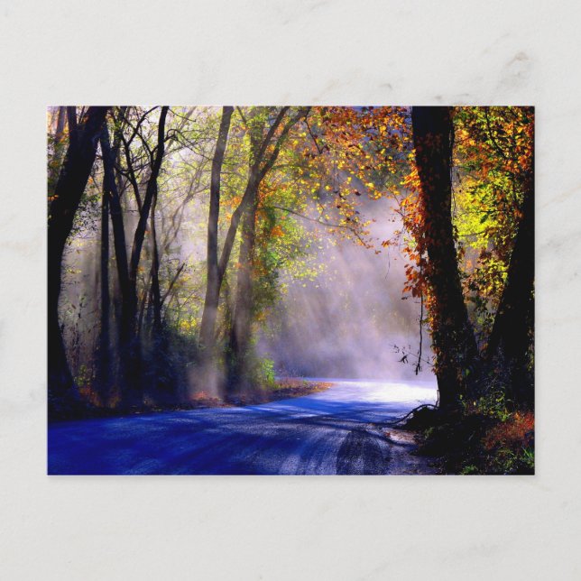 Cartão Postal Deixe Sua Luz Brilhar (Frente)