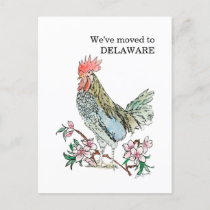 Cartão Postal Delaware