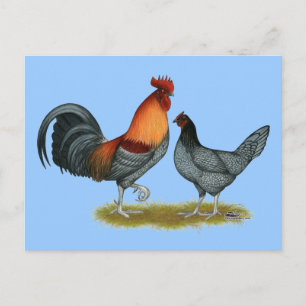 Cartão Postal Delaware Blue Hen