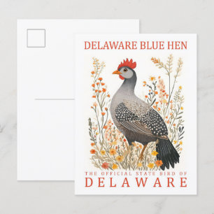 Cartão Postal Delaware Blue Hen Bird de Delaware EUA Viagem