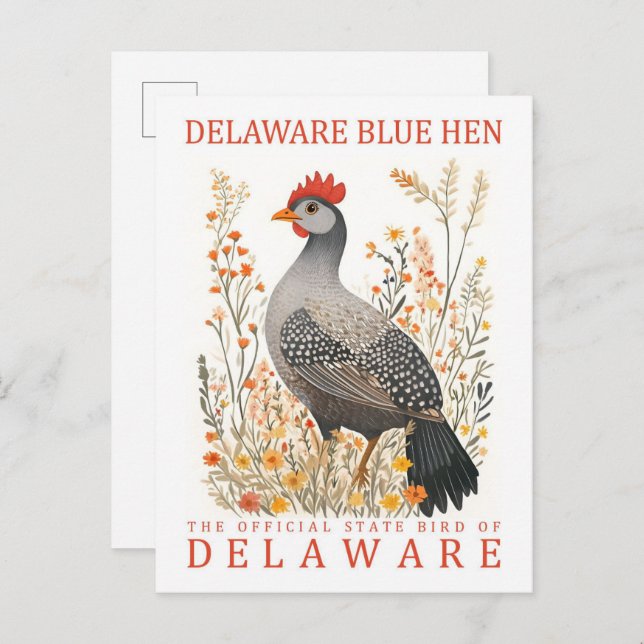 Cartão Postal Delaware Blue Hen Bird de Delaware EUA Viagem (Frente/Verso)