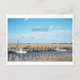 Cartão Postal Delaware Rural e Selvagem.