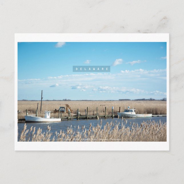 Cartão Postal Delaware Rural e Selvagem. (Frente)
