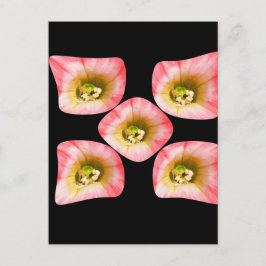 Cartão Postal Delícia Floral