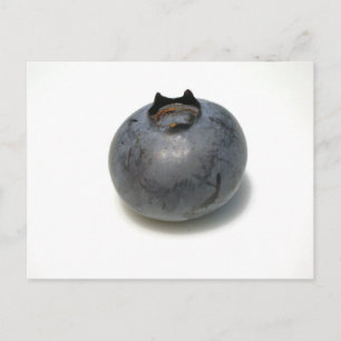 Cartão Postal Delicious Blueberry
