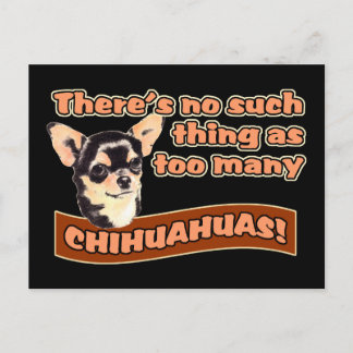 Cartão Postal "Demasiados Chihuahuas"