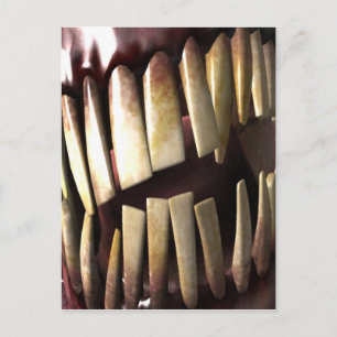Cartão Postal dentes