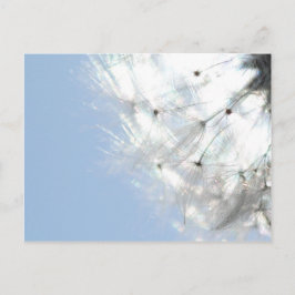 Cartão Postal Dentes-de-leão Flor de borboleta Fotografia Azul-c