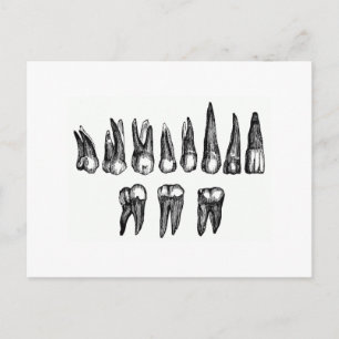 Cartão Postal Dentes Vintage