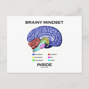 Cartão Postal Dentro Brainy Mindset (Cérebro Anatômico)