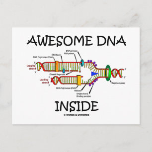 Cartão Postal Dentro de DNA incrível