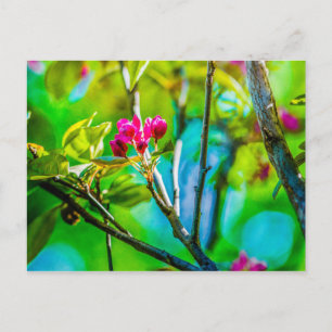 Cartão Postal Dentro de Flor